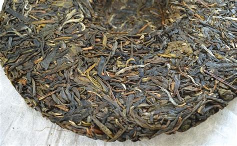 普洱茶怎么种植,苦丁茶能减肥吗