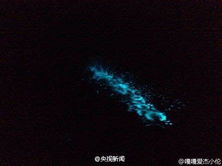 葫芦岛海边现罕见荧光海是真的吗