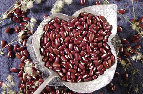 中医里面的赤小豆的作用是什么?