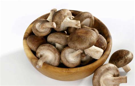 松茸菇和松茸的区别 菌菇和松茸的区别