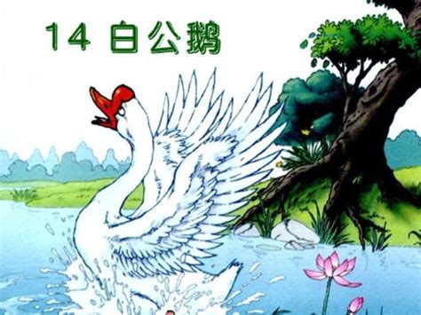 白鹅-小动物作文400字(优秀7篇)