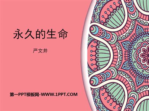 关于生命作文600字[共计4则]