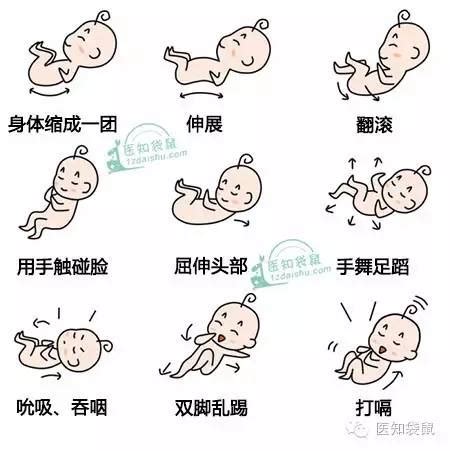 孕期如何数胎动次数