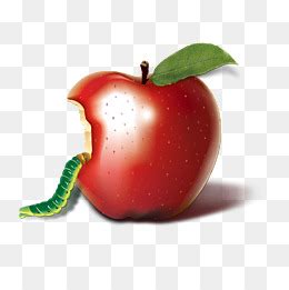 38个口才训练小游戏,怎么玩虫吃苹果的游戏