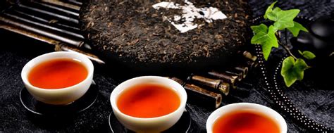 红茶适合什么季节喝,普洱适宜在什么季节