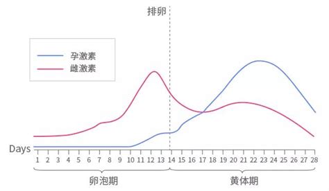 排卵期出血怀孕的几率高吗