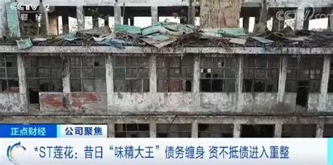 蓮花味精廠在什么地方?