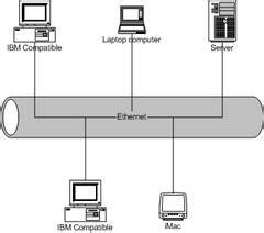 局域网打印机共享软件,如何共享打印机