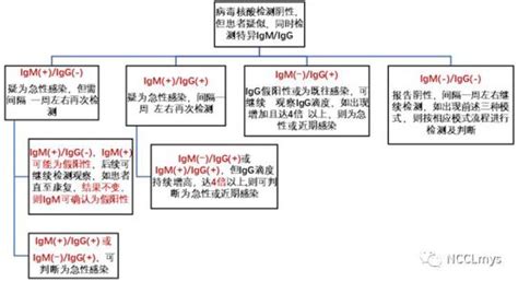 什么叫真阳假阳