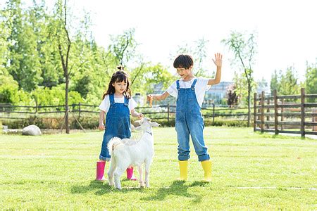 小山羊交朋友350字[通用6则]