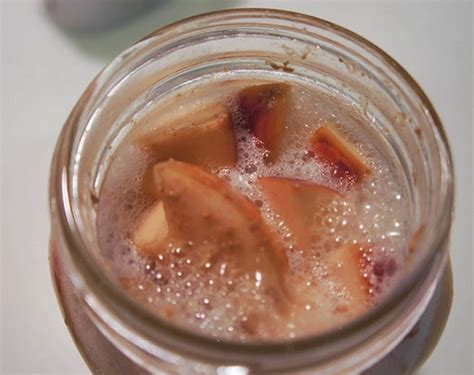 甜瓜酵母菌制作方法,酵母菌液怎么制作方法