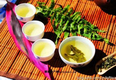 福建寿宁有哪些茶场,助力寿宁高山茶品牌打造