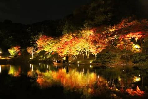2019日本全国红叶日历，最全的红叶季节预测和景点介绍来了