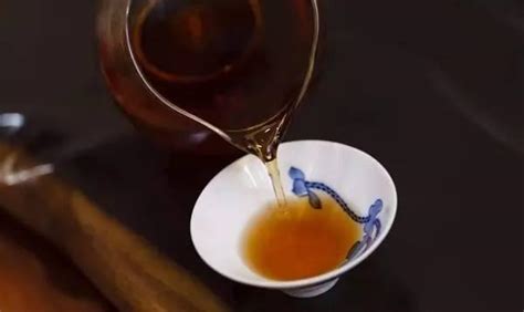 悟道茶是什么茶系,烤茶是什么茶系