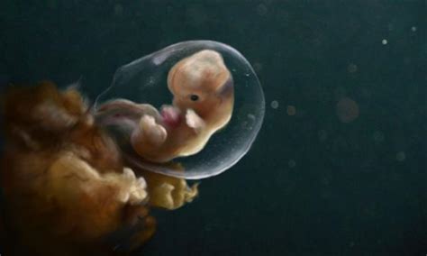胎儿为什么晚上胎动活跃