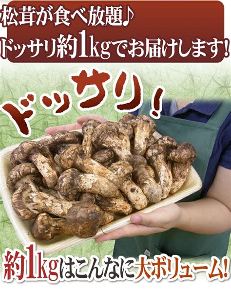 日本野生松茸市场价是多少 野生松茸市场价多少一斤