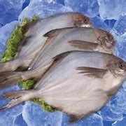 红烧带鱼怎么做好吃,带鱼怎么做最营养