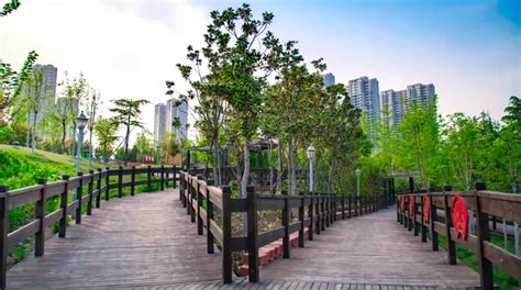 郑州哪个区绿化好,广州哪个区绿化最好