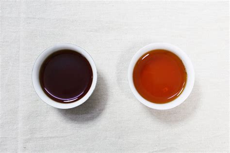 普洱茶和六堡茶哪个更好,六堡茶与普洱茶的区别