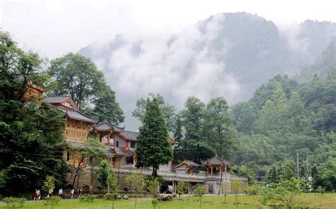 青城山在哪地方呀?