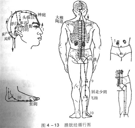 膀胱壁欠光滑是什么意思