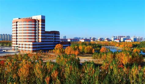 东营石油大学是几本?