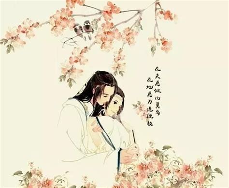 不让人偷花的经典句子