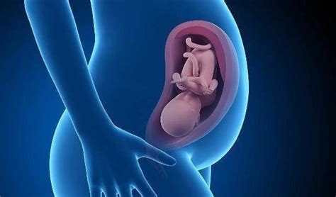 孕妇肚子比较大是什么原因