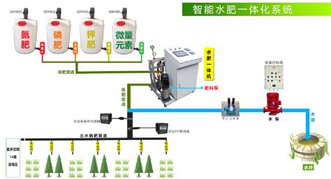 水稻中后期水肥怎么管理