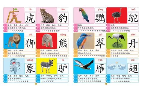 学前识字主要有哪些字,谢谢了
