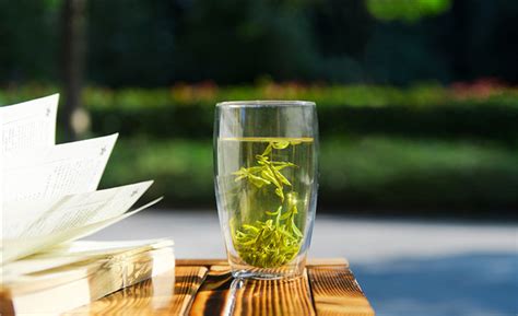 喝绿茶用什么杯子,绿茶用什么杯子泡