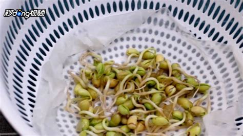 怎样在家做绿豆芽,在家怎么做绿豆芽视频