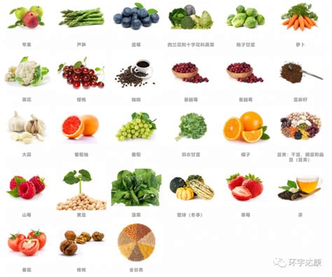 含叶酸的食物和水果排行榜
