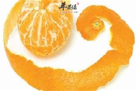 婴儿能吃桔子吗