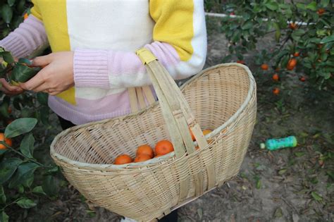 用塑料條怎么編籃子