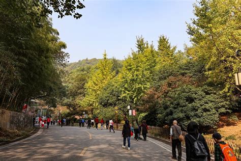 饮食失调的危害