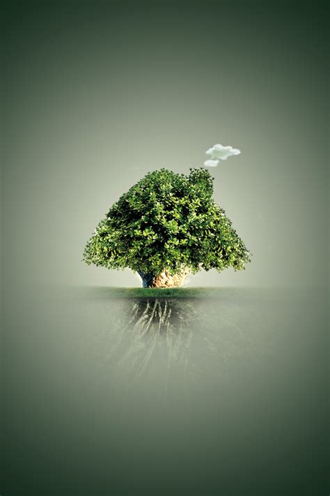 一棵树的不幸命运-关于树的作文700字【合计6篇】