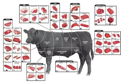 牛腿肉一般怎么做,澳洲牛腿肉怎么做好吃