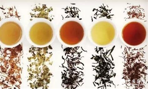 茶叶绿色食品认证方案,绿色食品认证的茶叶有哪些