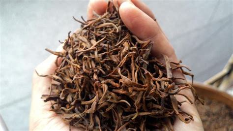 轻发酵茶包含哪些,什么是普洱熟茶的轻发酵