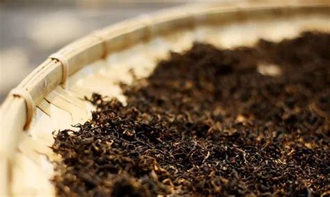 红茶的发酵温度是多少,80度水温冲泡红茶的三种表现