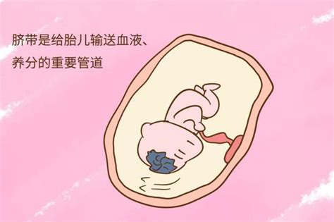 孕妇胎盘低能长上去吗