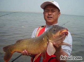 匙吻鲟鱼落户新疆博州,博州有什么鱼