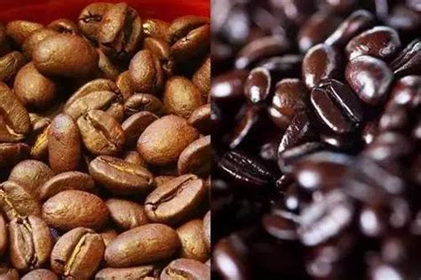 咖啡豆能直接煮着喝吗
