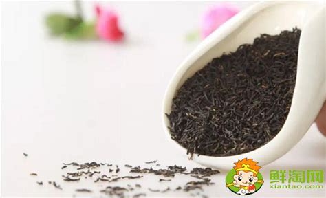 金骏眉为什么不是名茶,为什么中国没有茶叶品牌