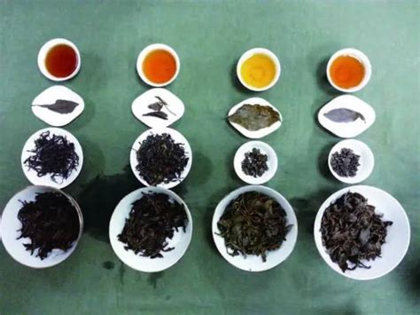 哪些是红茶哪些是乌龙茶,乌龙茶如何冲泡