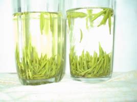 绿茶茶艺需要哪些东西,那你懂都匀毛尖绿茶茶艺吗