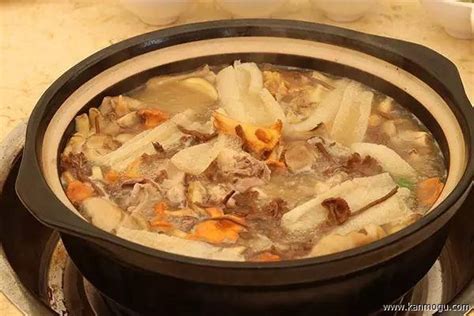 养生汤用什么锅好,用什么锅做养生菌汤