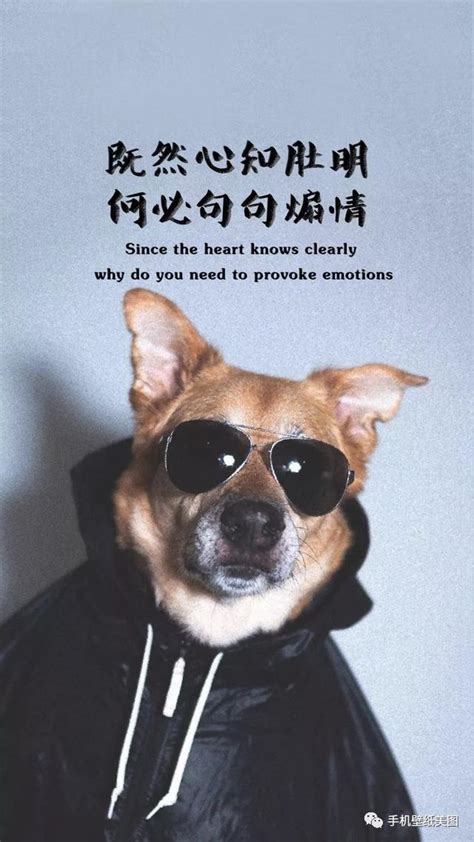 2020最火的经典句子
