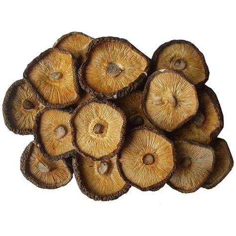 松茸蘑菇菌丝如何种植,新鲜松茸多少钱一斤